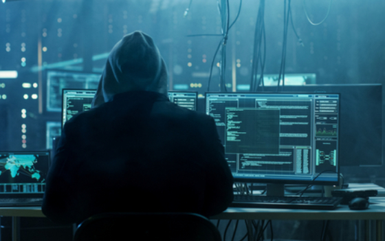 The Perils of Identity Theft
